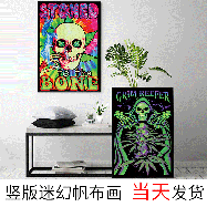 Source factory Amazon psychedelic silk poster spray painting Abstract study, skull living room decoration hanging painting core pic 1
