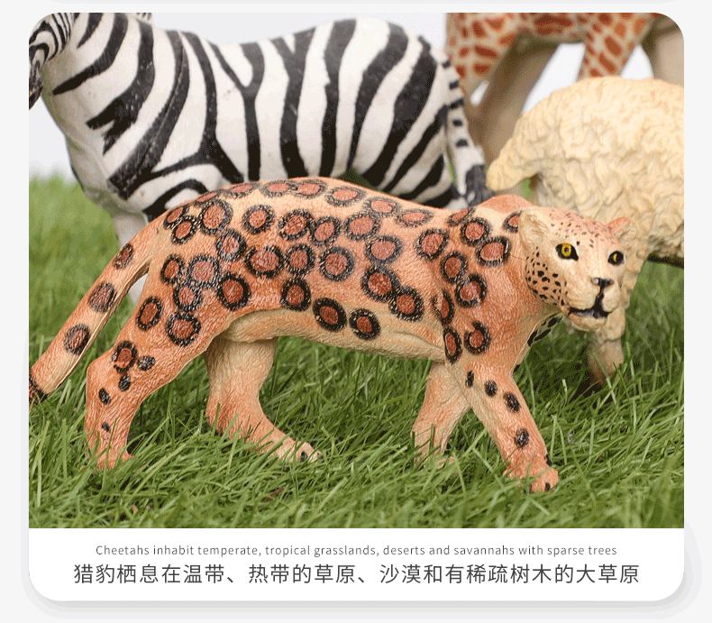 Factory direct sales of simulation animal models, wholesale PVC soft plastic educational and scientific cognitive animal toys, elephants and giraffes pic 7