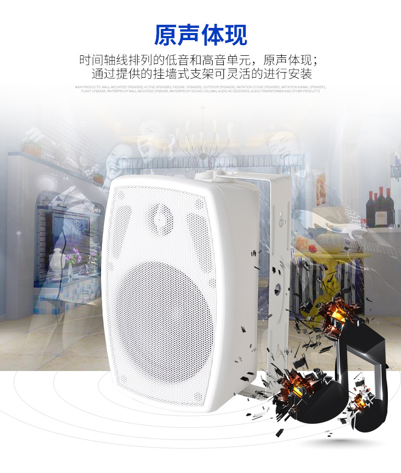 5.2寸防水壁挂无源音箱公共广播音响户外音箱会议室壁挂音箱详情7
