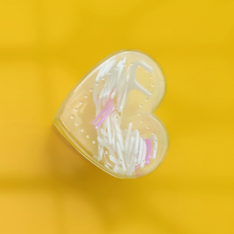 Love dental floss box, disposable plastic toothpicks, dental care, portable dental floss sticks, family floss picks pic 18