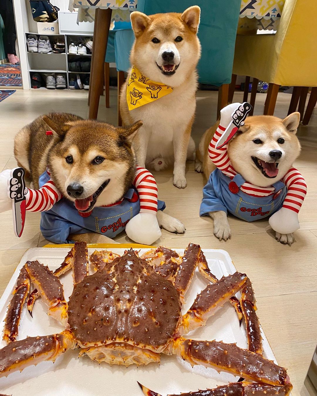 Halloween Amazon knife dolls, small and medium-sized dogs, funny transformation into cats, pet clothing and supplies pic 10