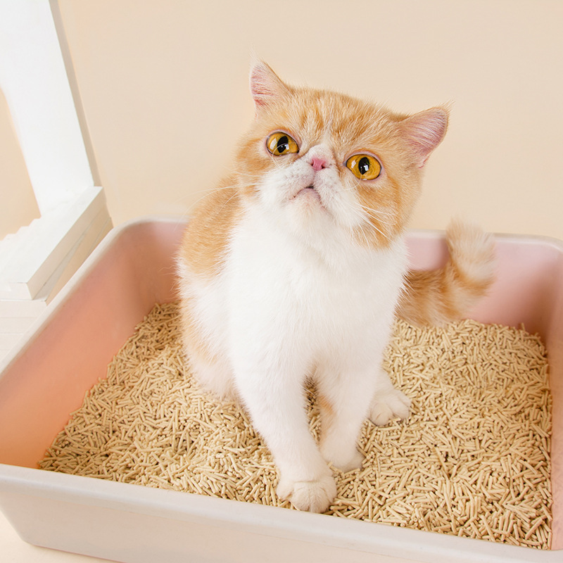 Cat litter manufacturer direct sales and wholesale. Cat litter, tofu, deodorizing, dust-free, original flavor, plant, 6L tofu cat litter, one-piece consignment pic 8