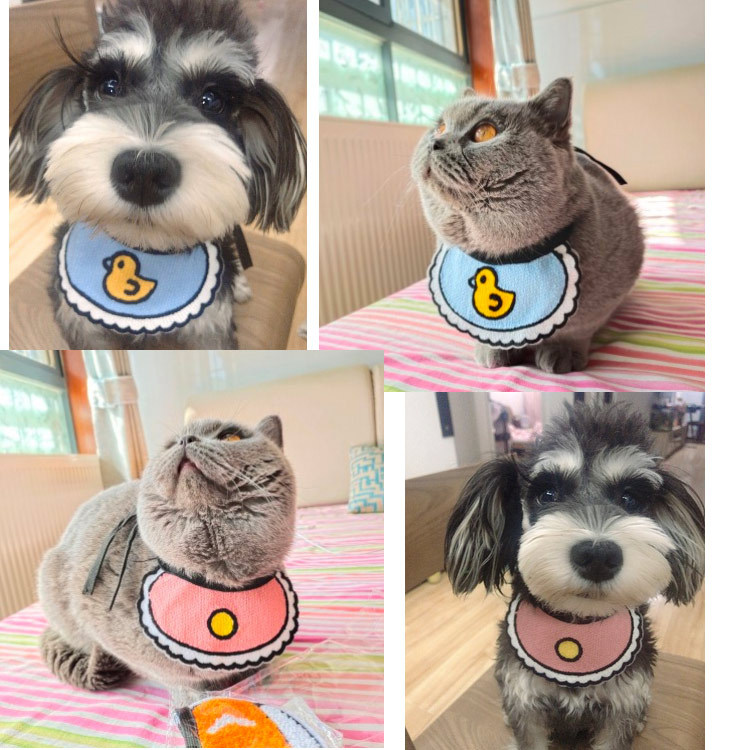 Корейские любимые кошачьи салфетки, собачьи слюнявые собачки, бармаглоты на Рождество, одежда гарфилда pic 9