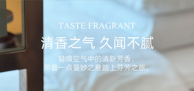 White tea car aromaterapia 2025 nuevo perfume de coche de larga duración para coche de lujo para mujeres eliminar el olor dentro de los hombres pic 9