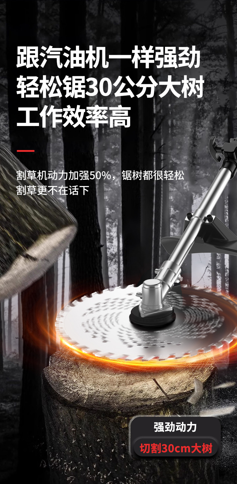 详情页_04.jpg