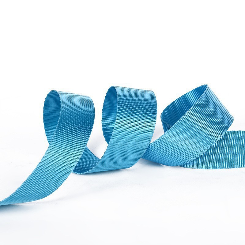 厂家直销 仿尼龙织带 密纹 美国纹 人字纹 安全带 宠物带 涤纶带详情8