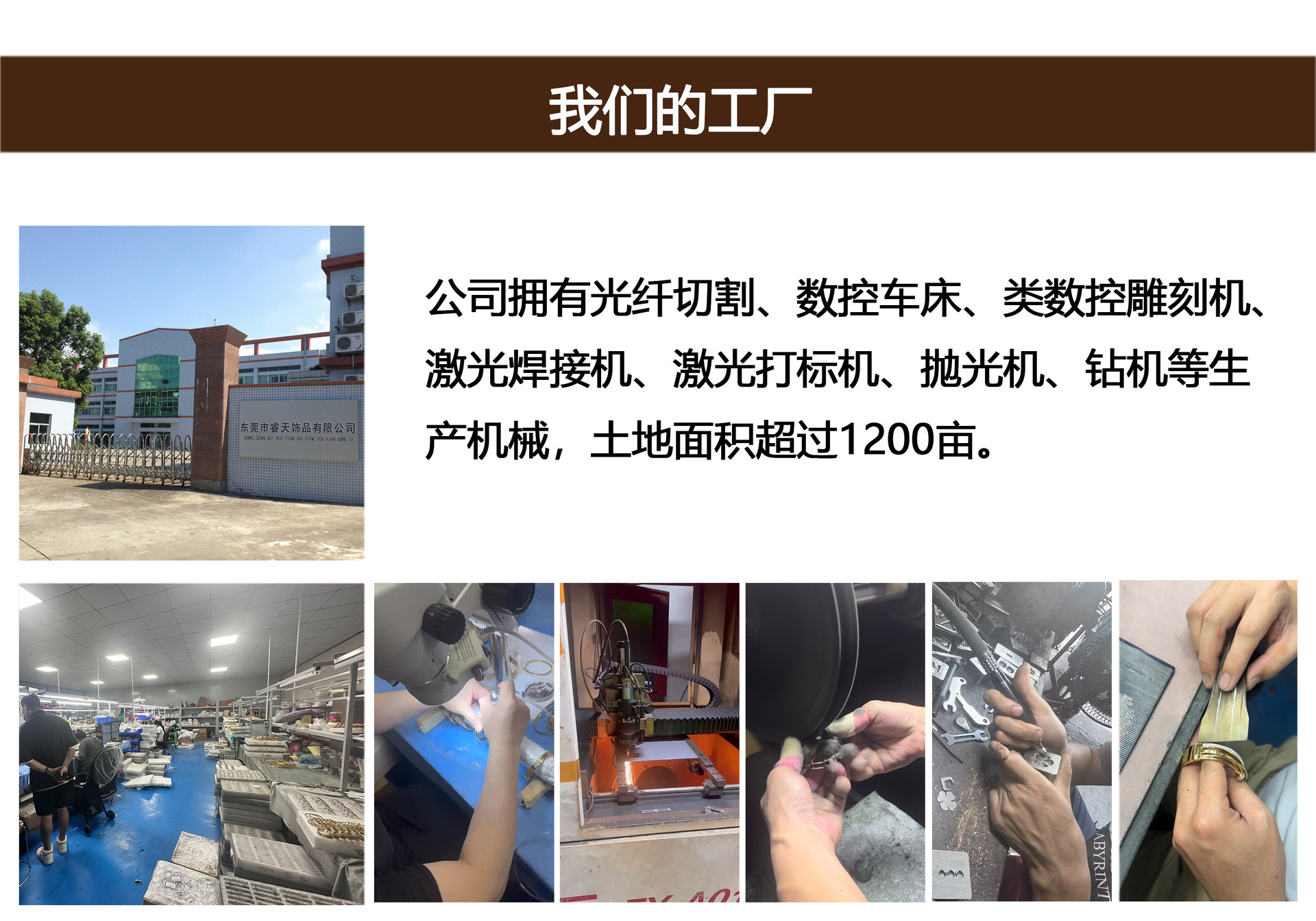 独立站热卖跨境耳环蝴蝶形耳环女秋冬饰品可爱风耳饰女东莞钛钢详情12