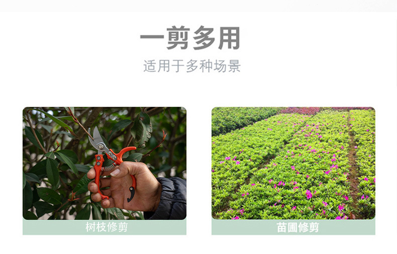 佰世园艺省力修枝剪果树枝修剪工具批发五金剪刀详情2