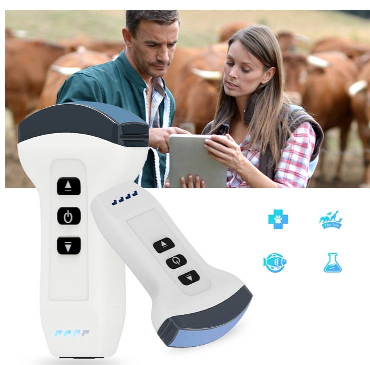 Cross-border dedicated handheld B-ultrasound machine for animals and humans, wireless connection compact ultrasonic scanner, ultrasonic probe pic 10