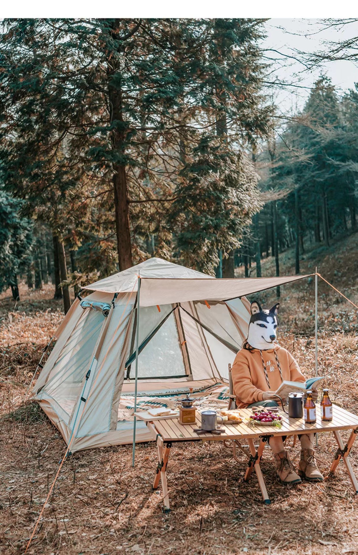 户外露营帐篷可折叠全自动速开防雨野营装备四面遮阳篷免搭建速开详情8