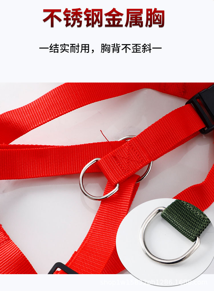 Medium and large-sized dog leashes, pet chest and back straps, leashes, universal dog leashes, portable pets pic 7