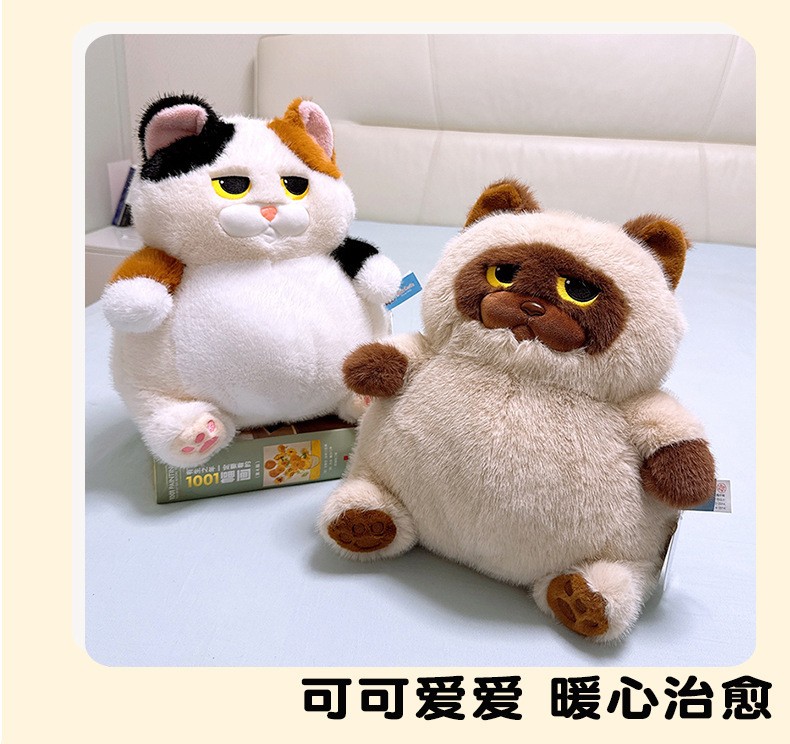 新款品质长毛奶牛猫公仔创意可爱毛绒玩具猫咪娃娃玩偶生日礼物秀绒玩具批发详情7