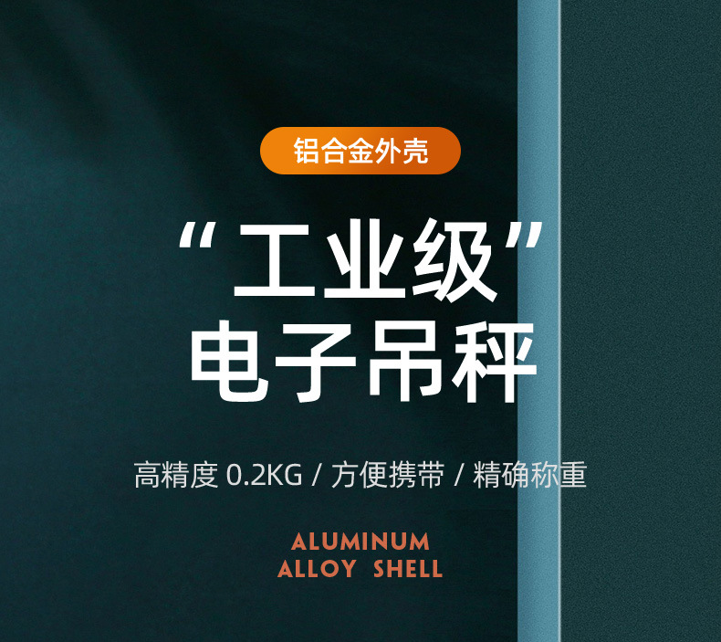 OCS-P 2t电子吊秤5T直视吊钩秤行车电子称10T吊磅3t吊勾称详情1