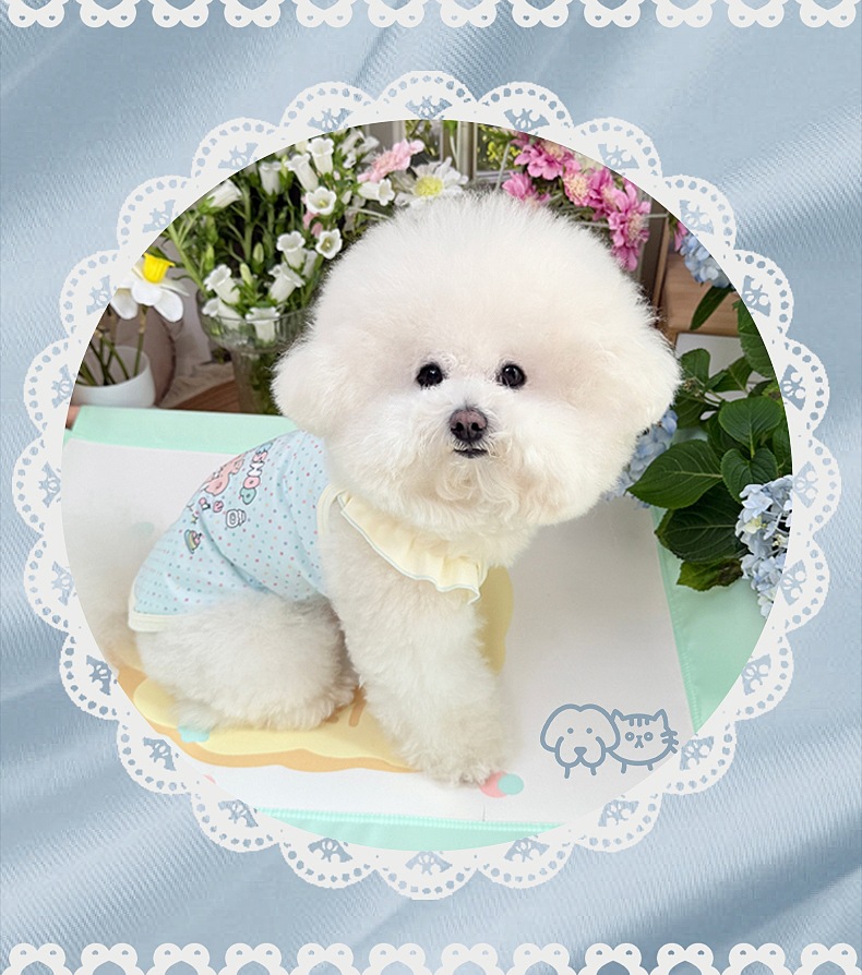 Spring and summer clothes for cats and dogs: Thin, cute, cartoon printed, stylish macaron-colored halter, Bichon and Pomeranian small, short style pic 1
