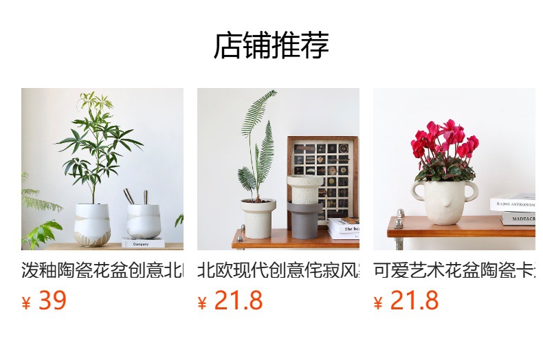 北欧陶瓷粗砂花盆象牙白蝴蝶兰陶盆兰花白陶创意个性绿植粗陶套盆详情1