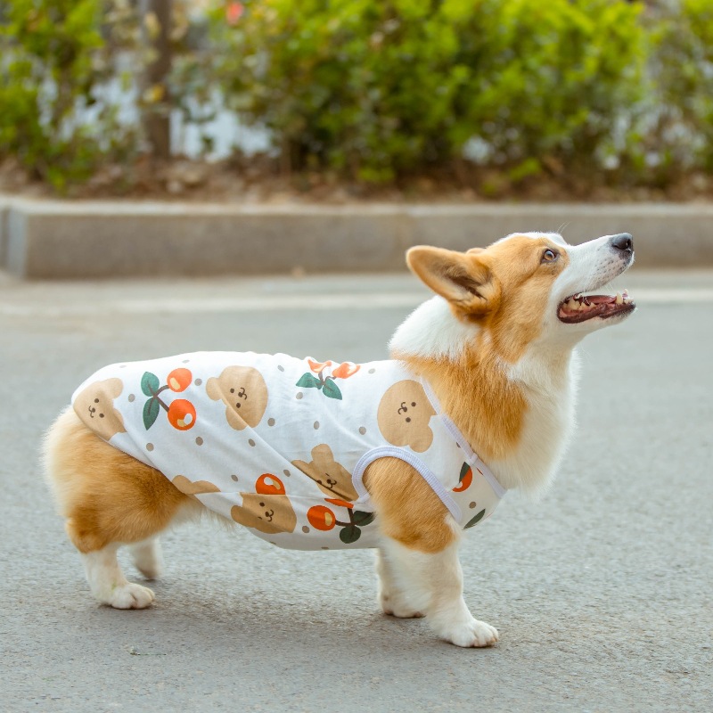 狗狗背心四季款宠物T恤可爱卡通狗狗服装印花中型犬幼犬现货批发详情12