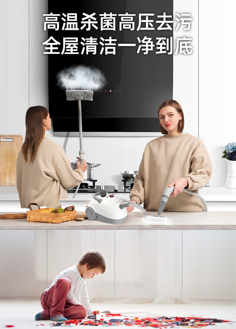 High-temperature and high-pressure steam cleaning machine, household sterilization and disinfection machine, car film application, formaldehyde removal, fumigation and fume cleaning machine pic 1