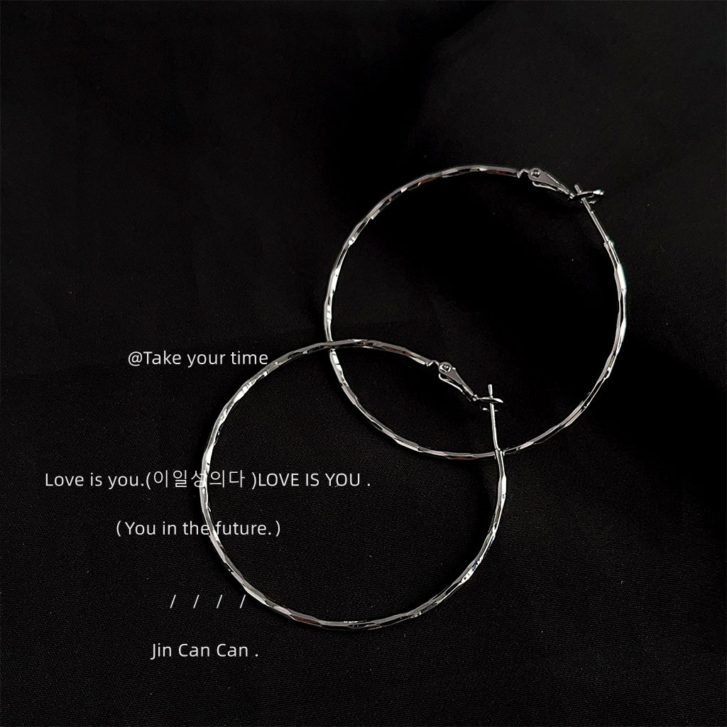 Exaggerated personality, ins, high-end, sweet and cool, versatile, large round ear rings, simple and elegant, new earrings from the factory pic 10