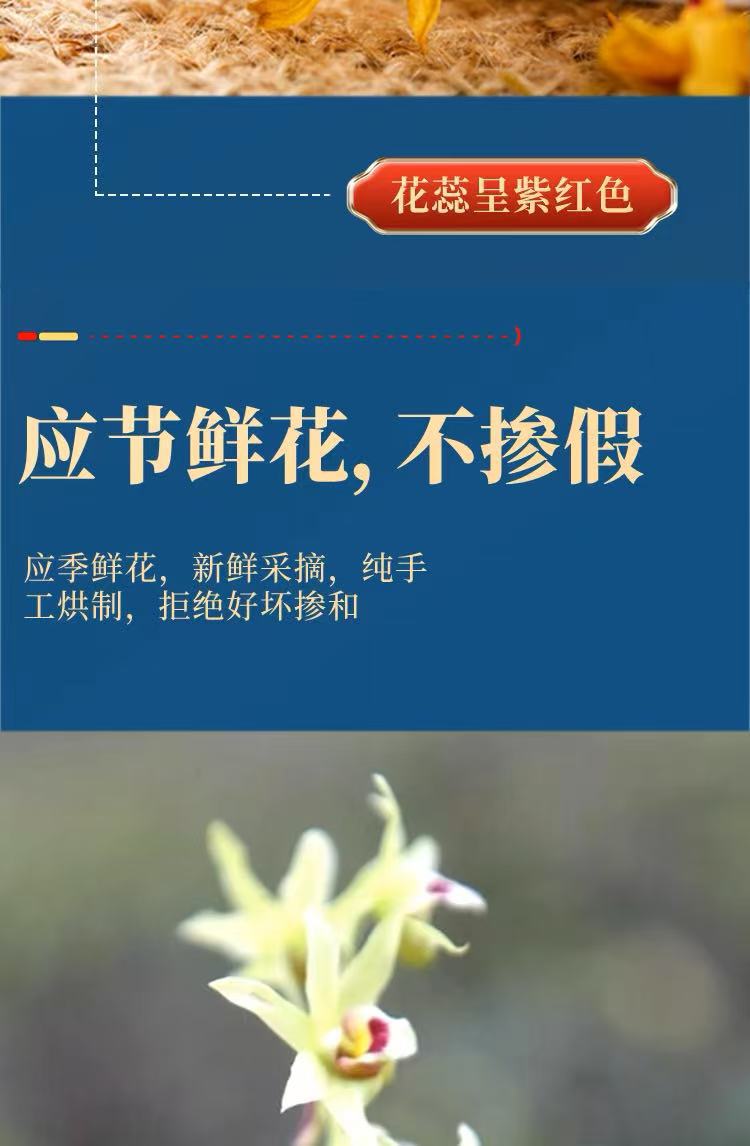 铁皮石斛花 正宗霍山铁皮石斛 现摘新货石斛花 袋装罐装一件代发详情5