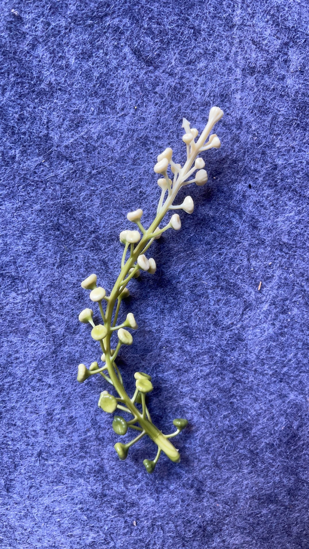 仿真花水草配件新款塑料盆栽家居摆件办公文化仿真园艺装饰植物详情9