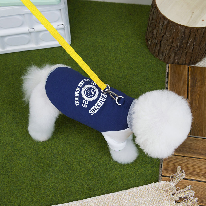Pet clothing: blue for puppies and white for cats. Pet clothing for dogs is cute, comfortable and comes in a variety of styles pic 12