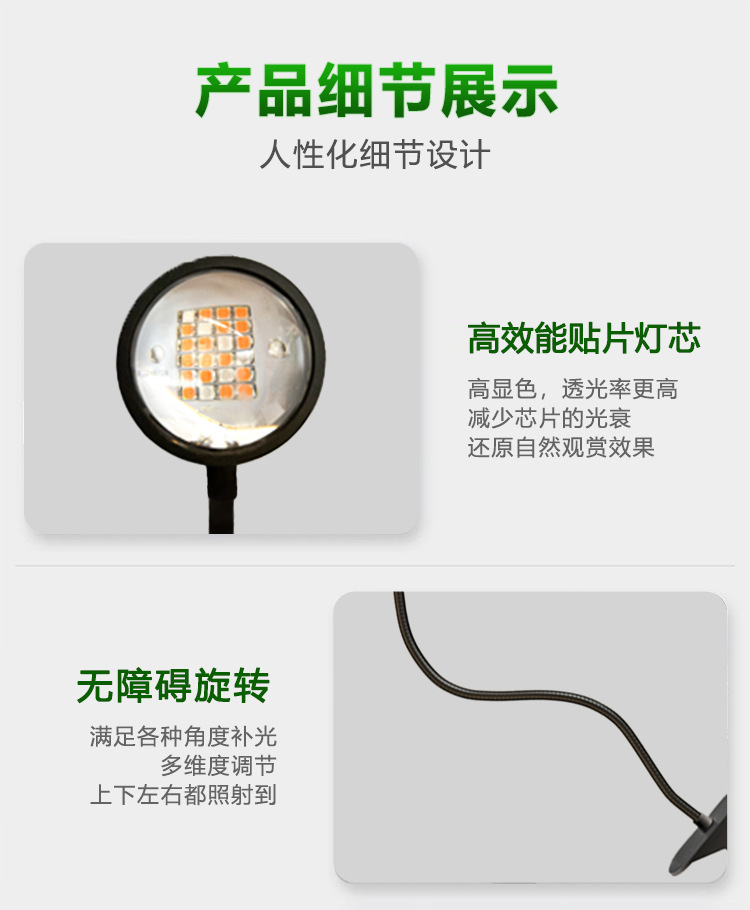 The clamps succulent supplementary light, indoor green plant and flower imitation solar full-spectrum plant growth light, is specially designed for coloring pic 13