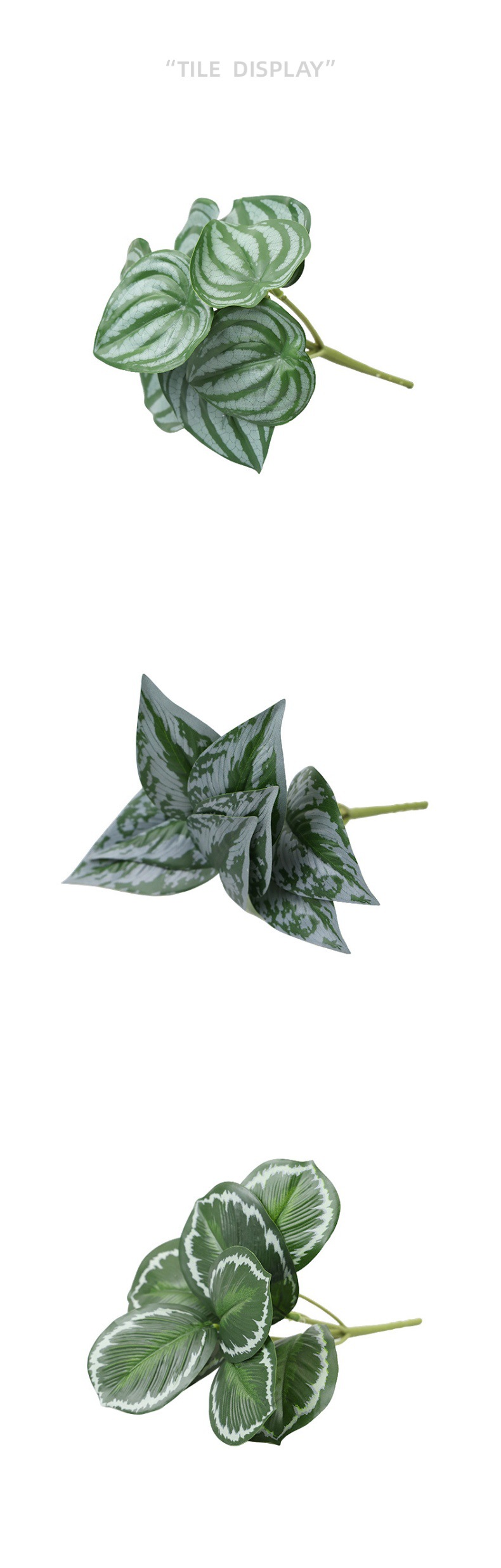 仿真绿植物镜片叶子圆贝叶中壁挂仿真绿植 婚庆造景搭配装饰树叶详情9