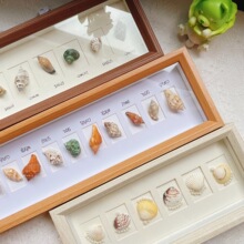 相框中空标本框木质玻璃立体黑色蝴蝶昆虫装裱自装摆台展示画框详情20