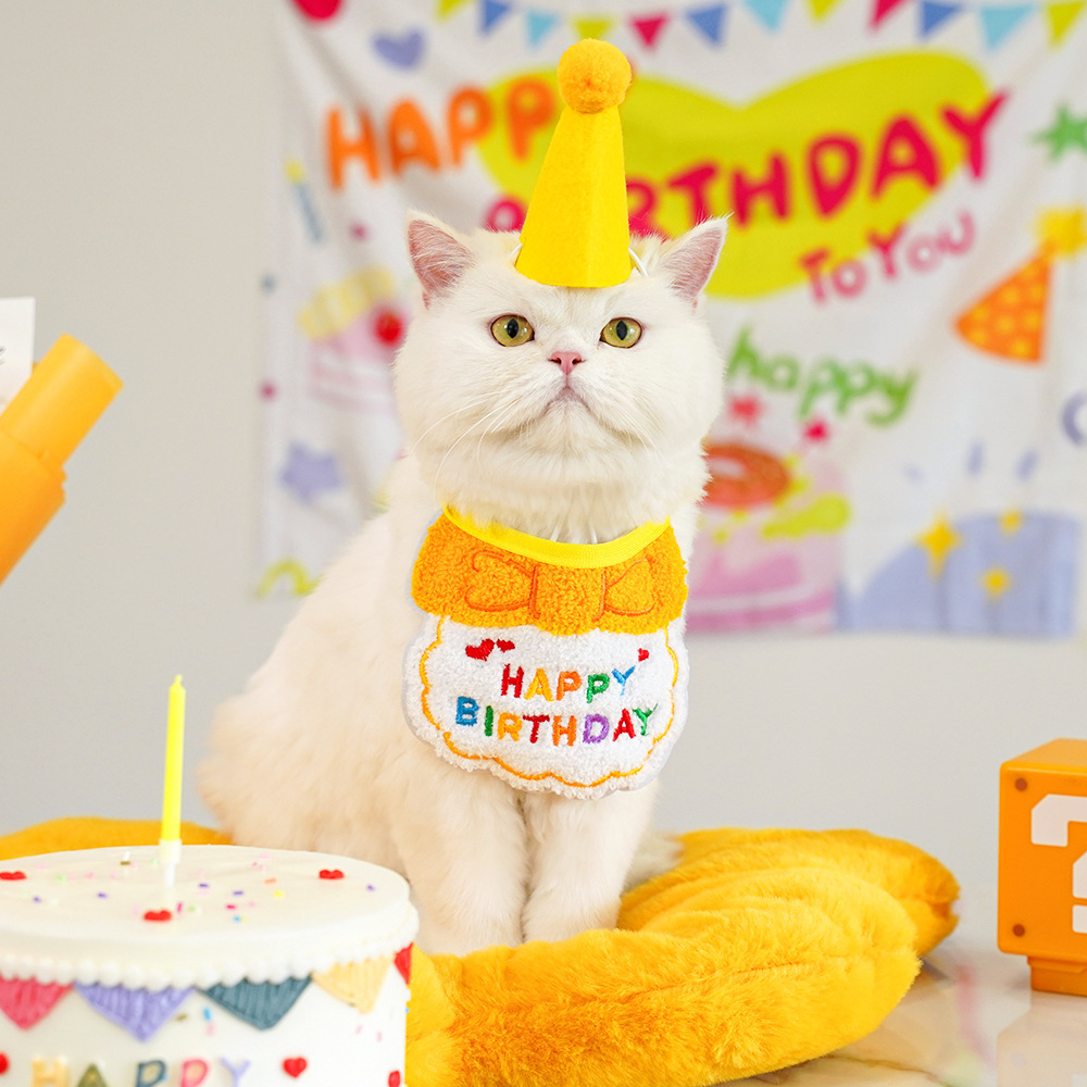 跨境宠物狗狗猫咪生日装扮围兜派对用品口水巾毛毡帽子厂家直销详情6
