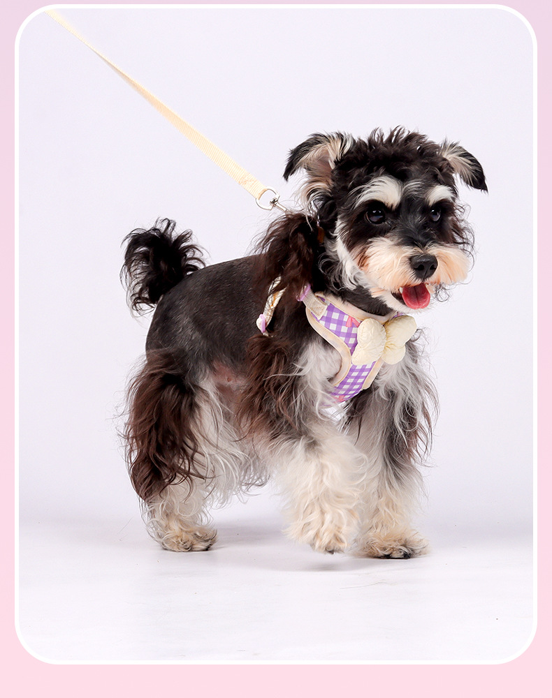 New dog leash, pet puppy chest strap, Bichon Shiba Inu, Schnauzer breathable outdoor dog leash pic 19