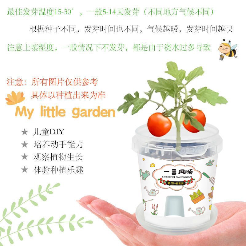 卡通情绪稳定盆栽室内迷你桌面小绿植儿童种植网红罐头观景盆栽批详情4