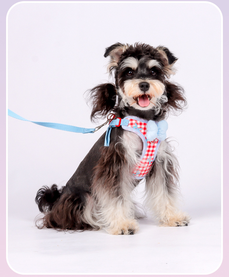 New dog leash, pet puppy chest strap, Bichon Shiba Inu, Schnauzer breathable outdoor dog leash pic 18