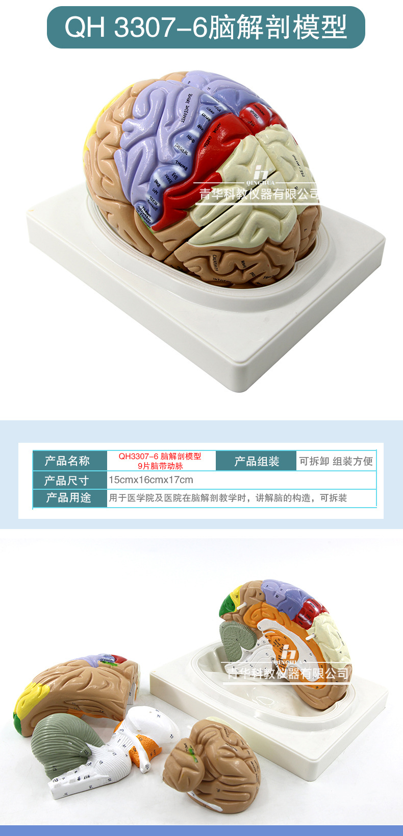 Qinghua 4D Assembly Brain Anatomy Model, human brain anatomy, cerebrovascular artery, nerve, medical science and education model pic 8