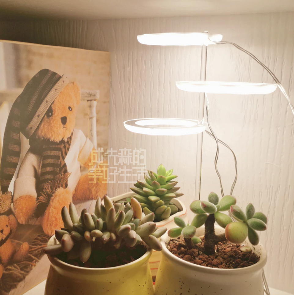 ♡ Energy-saving Angel Ring Plant Supplementary Light: LED Indoor Full-spectrum intelligent supplementary light for Bonsai and succulents pic 2