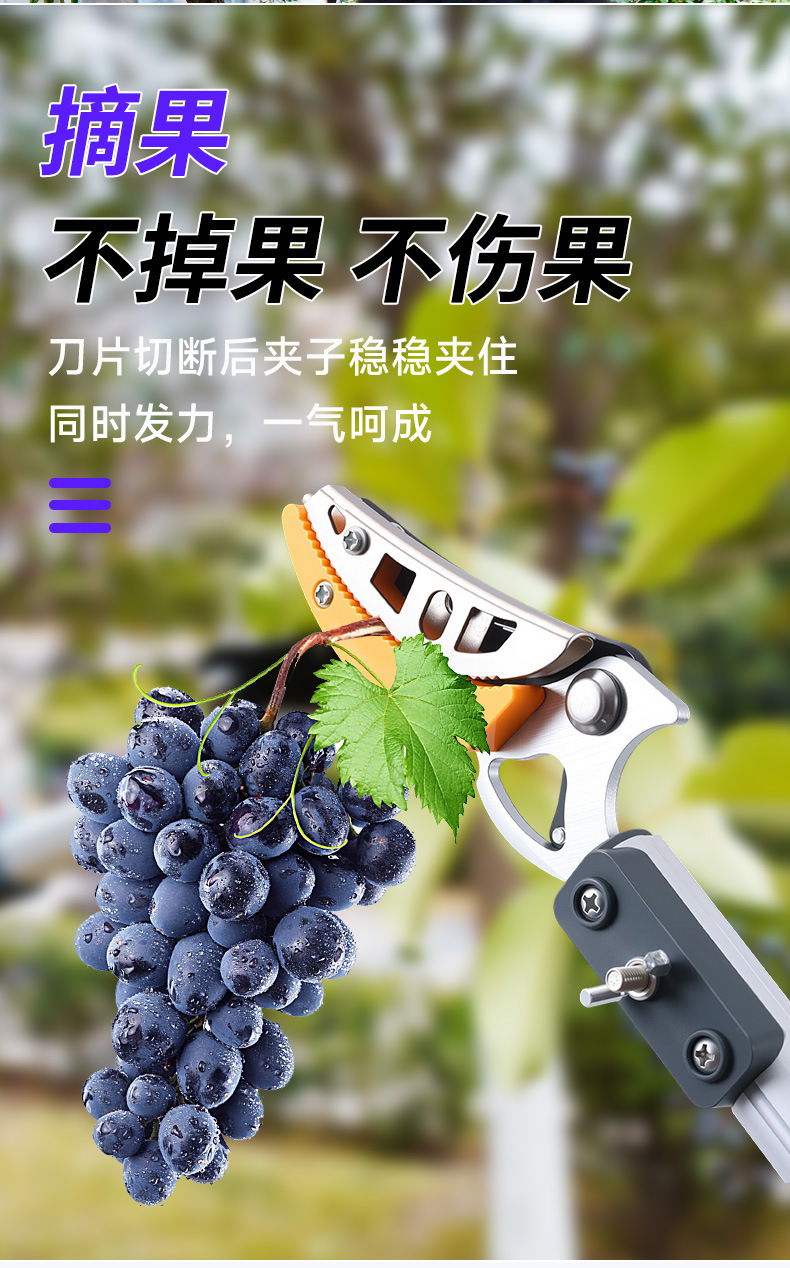 High-altitude telescopic fruit picking shears, fruit pickers, fruit pickers, tools for picking persimmons, lychees, longans and loquats, tall branches pic 9