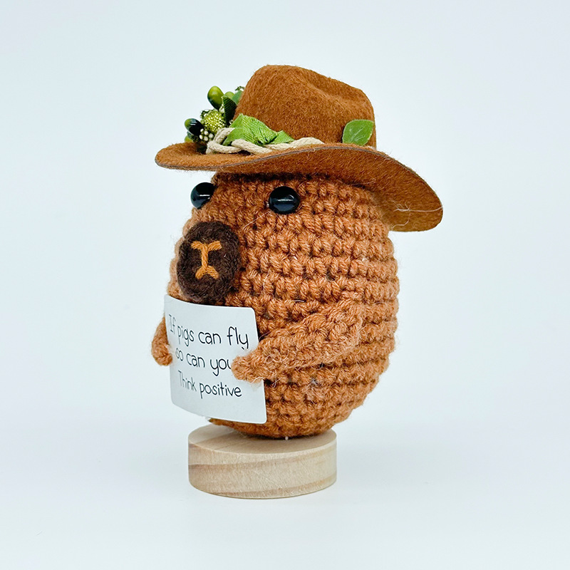 跨境爆款钩织牛仔帽玩偶情绪玩偶纯手工励志抱卡玩偶系列精美礼品详情13