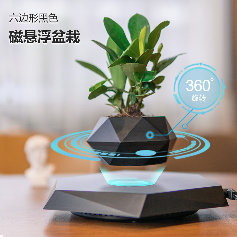 磁悬浮盆栽创意盆景工艺品礼品礼物新奇特家居摆件批发源头工厂详情3