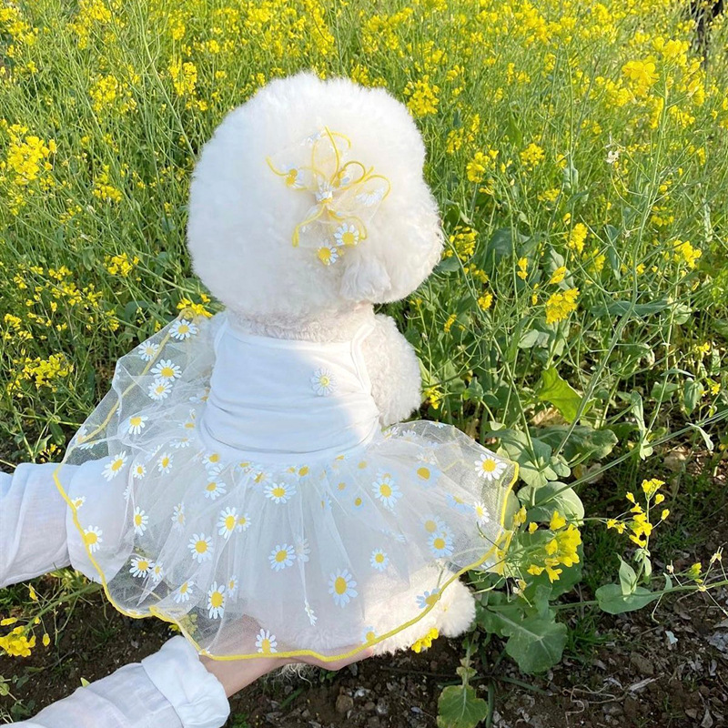 夏季薄款宠物纱裙子博美比熊泰迪约克夏雪纳瑞小型犬狗狗衣服批发详情2