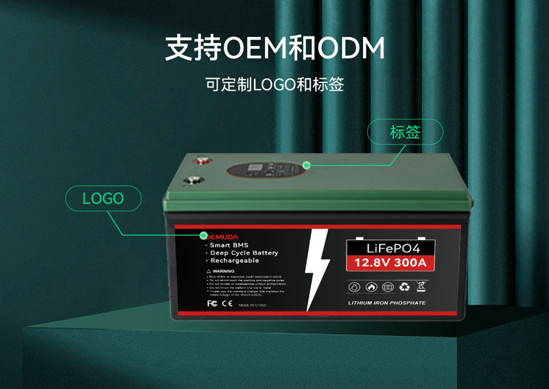 12v100ah太阳能蓄电池足容量深循环蓄电池12v磷酸铁锂蓄电池详情4