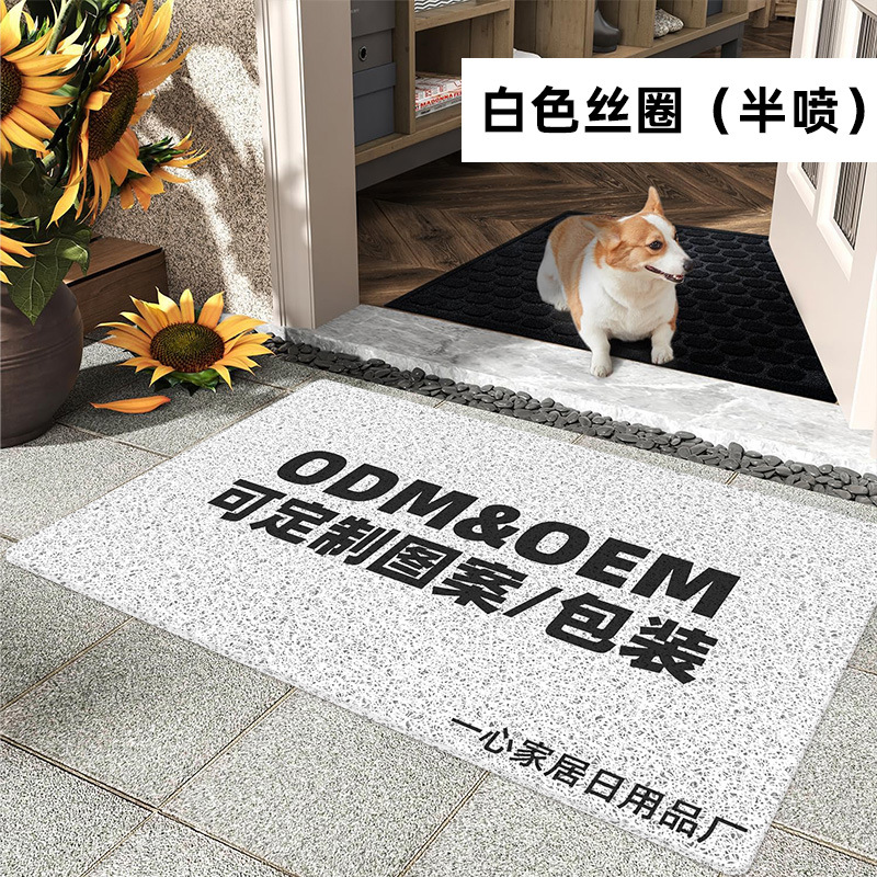 源头工厂进门入户门丝圈地垫定制门口家用防滑门垫跨境定做地毯详情8