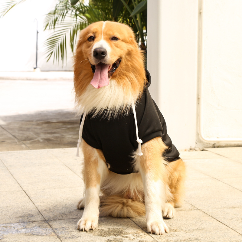 Otoño e invierno peluche de oro cremallera de bolsillo sudaderas grandes y medianas para perros perros ropa de gato fardo suministros para mascotas pic 12
