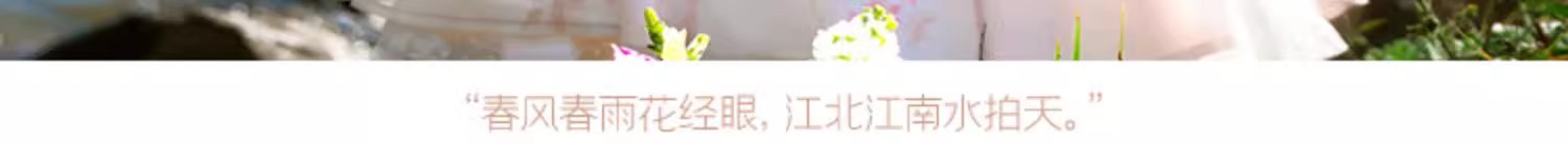 国潮新款原创春雨落花唐制汉服女齐胸襦裙改良古风超仙中国风古装详情5
