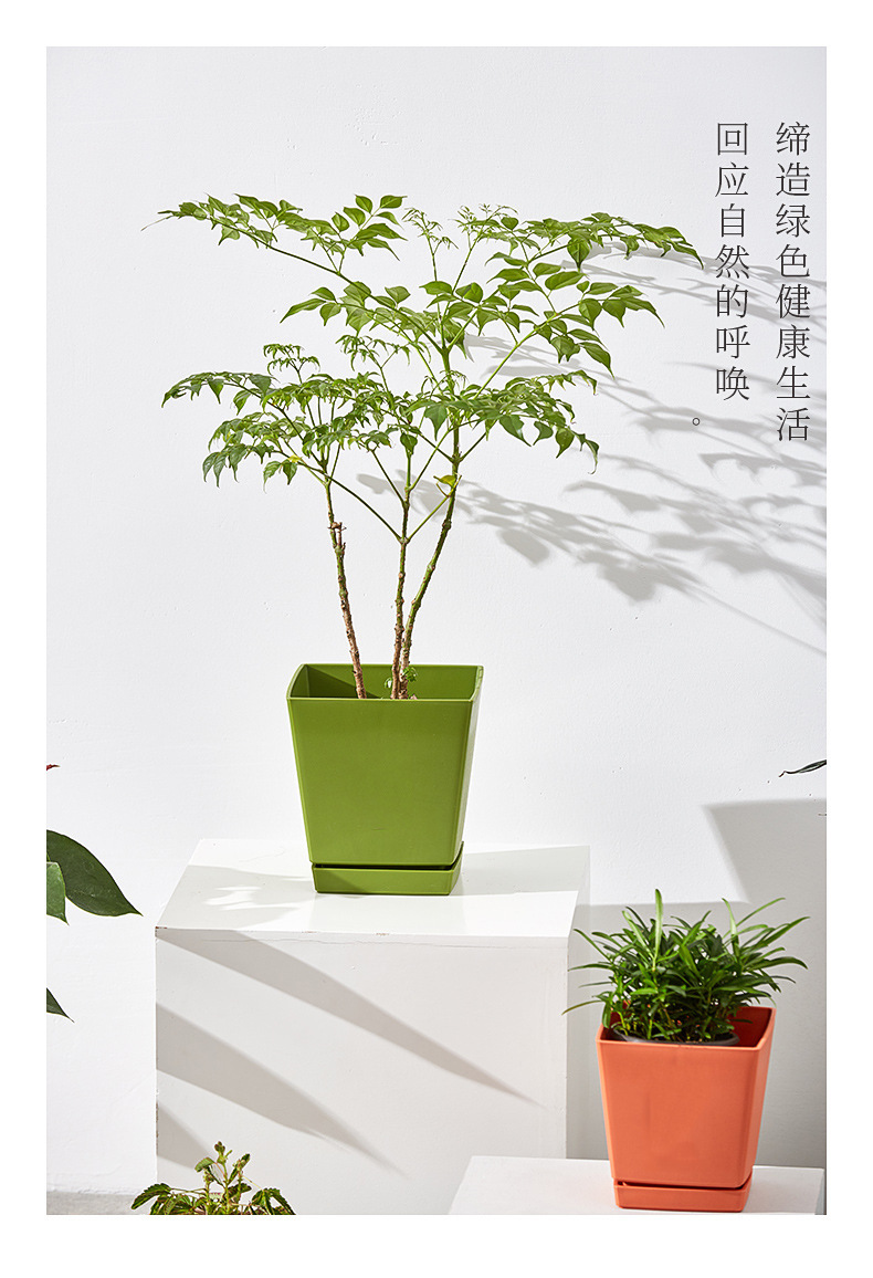 多肉盆小方盆塑料树脂小号桌面懒人花盆家用多肉植物花盆带底托详情9
