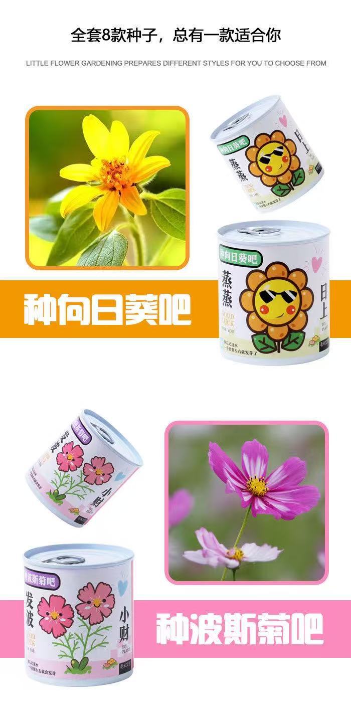 幼儿园儿童种植小盆栽学生迷你水果小盆栽盲盒办公室内桌面绿植物详情10