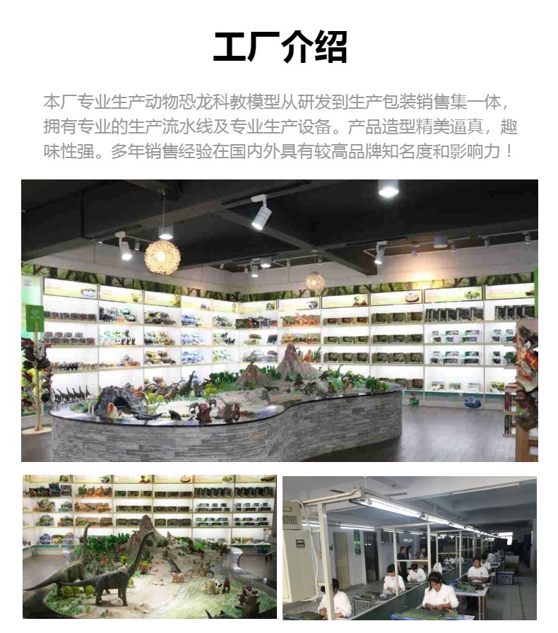 Xinkaina X099B Medium-sized Dinosaur Cross-border Simulation Model Toy for Children's educational and scientific cognition medium-sized dinosaur pic 9