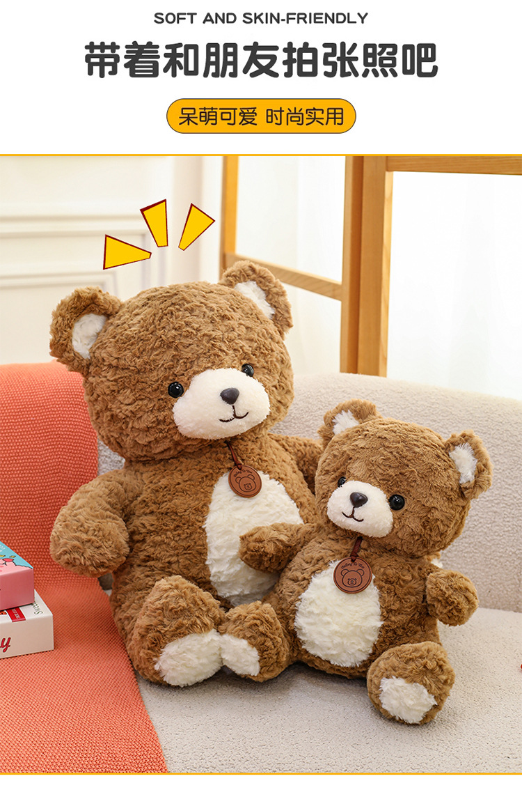 吊牌小熊公仔可爱毛绒玩具小熊公仔玩偶儿童生日礼物跨境批发详情10