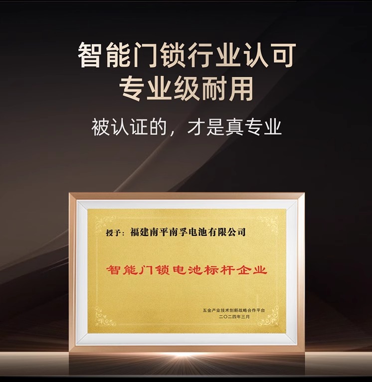 南孚电池5号和7号电池智能锁电池8粒装干电池五号碱性5号电池批发详情7