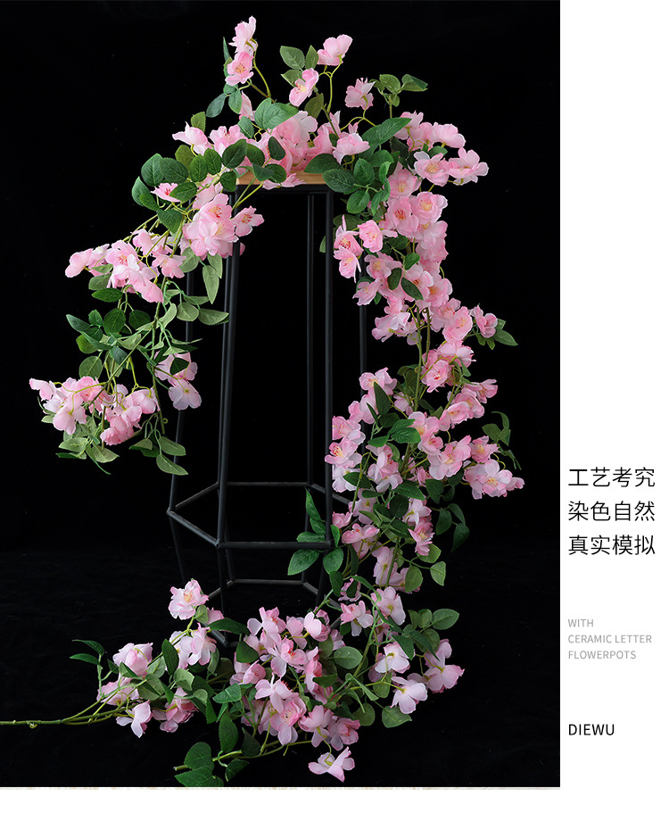樱花_17.jpg