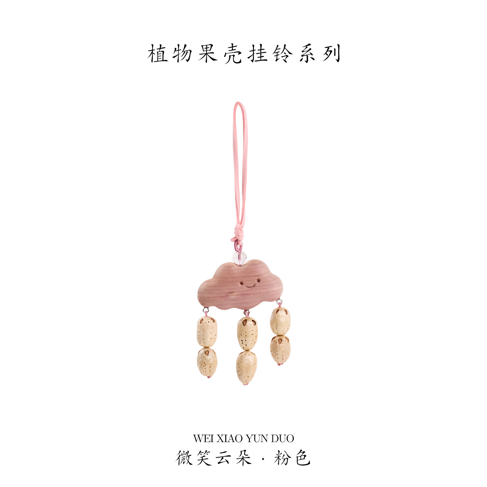 2025 Handmade Fruit shell hanging Bell Bag Pendant Seed hand-cranked Bell Full of Wishes Fruit Pendant Birthday Blessing Gift pic 10