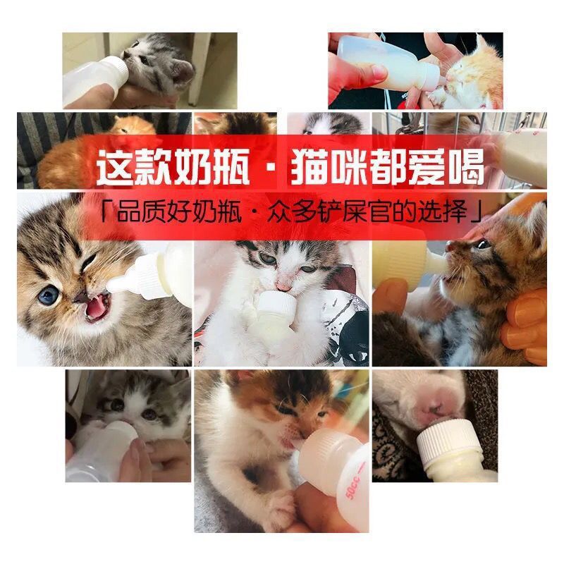 宠物奶瓶幼猫奶瓶猫咪奶瓶小幼犬崽新生奶猫咪狗狗喂奶瓶器软奶嘴详情6